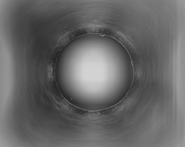 X0000112860964200908211318