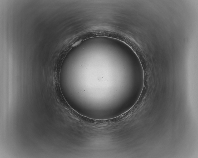X0000112860965200908211317