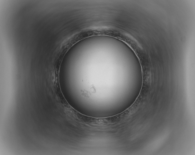 X0000112860966200908211317