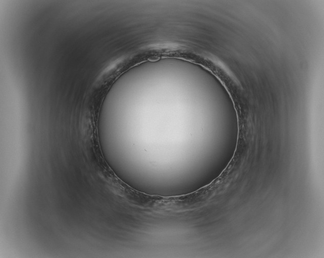 X0000112860967200908211317