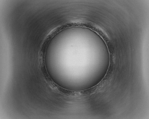X0000112860968200908211317