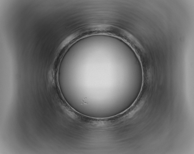 X0000112860970200908211317