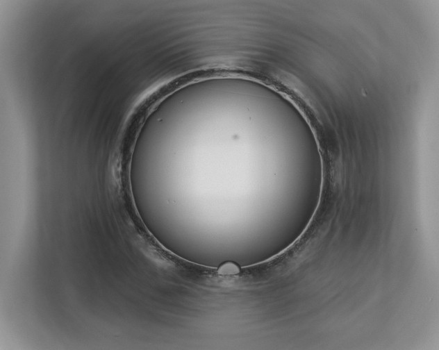 X0000112860971200908211317