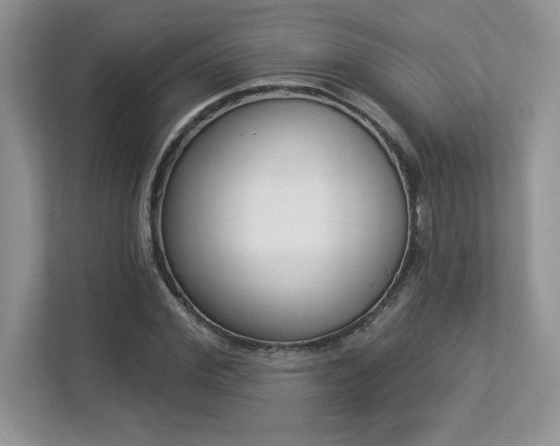 X0000112860972200908211317