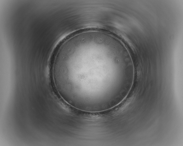 X0000112860975200908211317