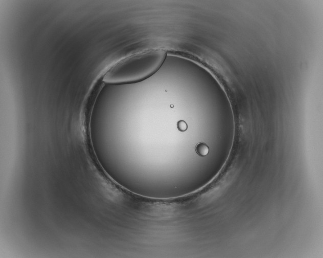 X0000112860981200908211317
