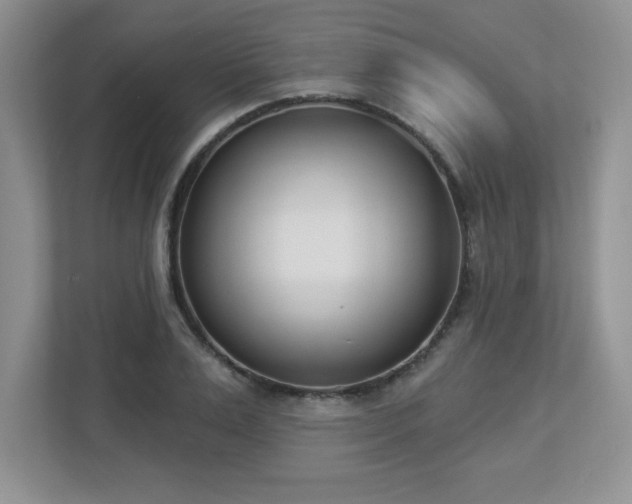 X0000112860983200908211317