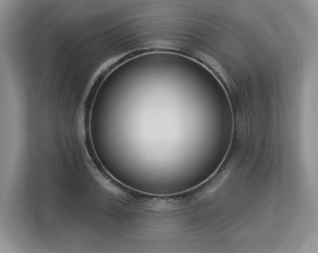 X0000112860987200908211317