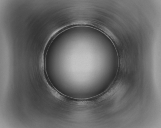 X0000112860988200908211317
