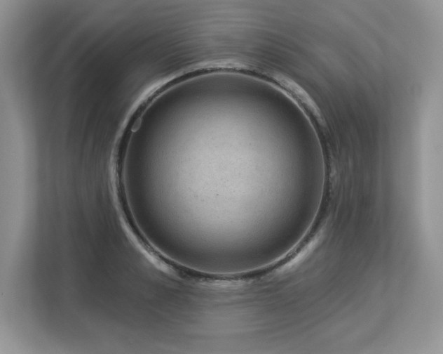 X0000112860989200908211317