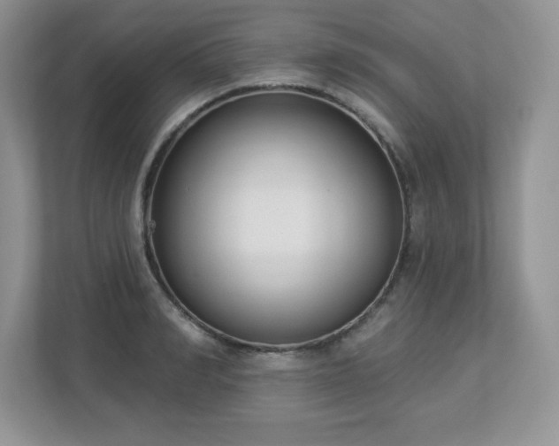 X0000112860990200908211317