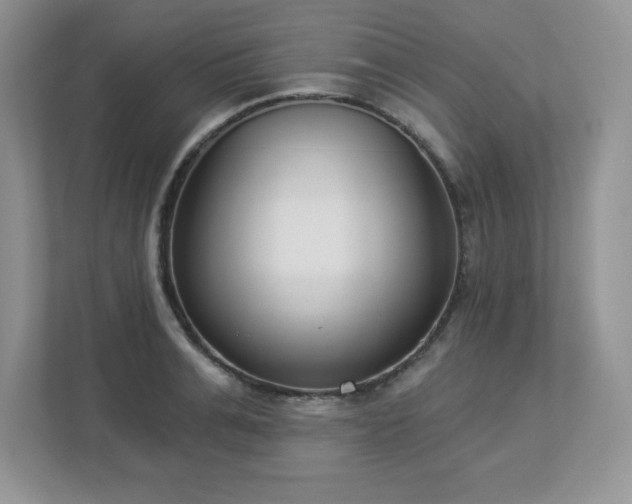 X0000112860991200908211317