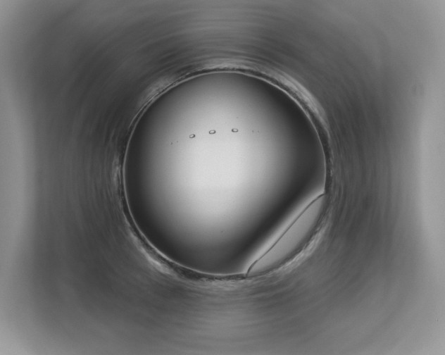 X0000112860993200908211317