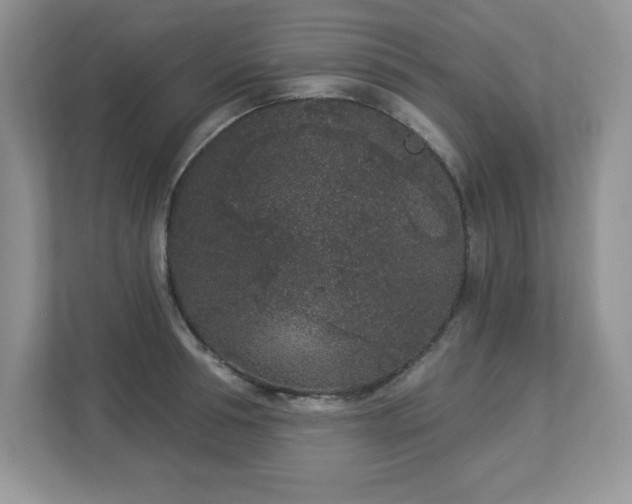 X0000112860994200908211317