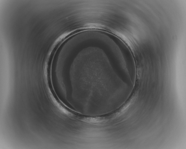 X0000112860995200908211317