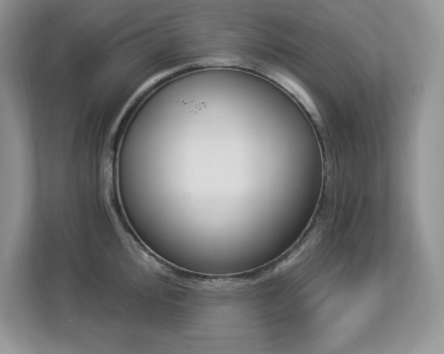 X0000112861000200908211317