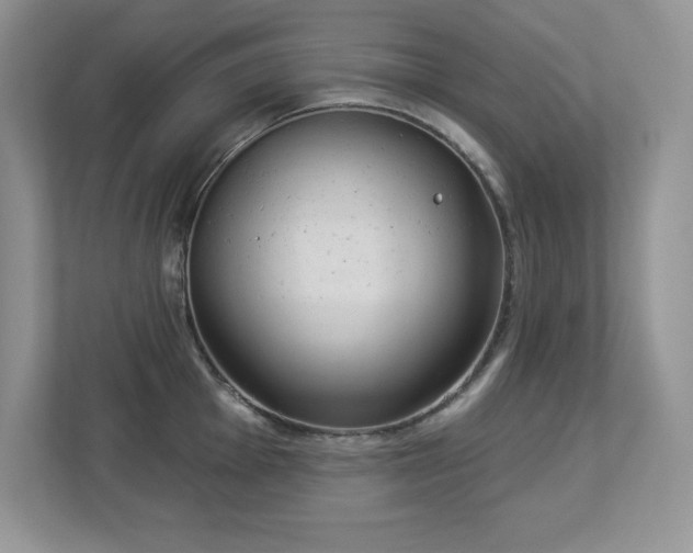 X0000112861001200908211317
