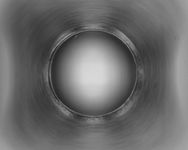 X0000112861002200908211317