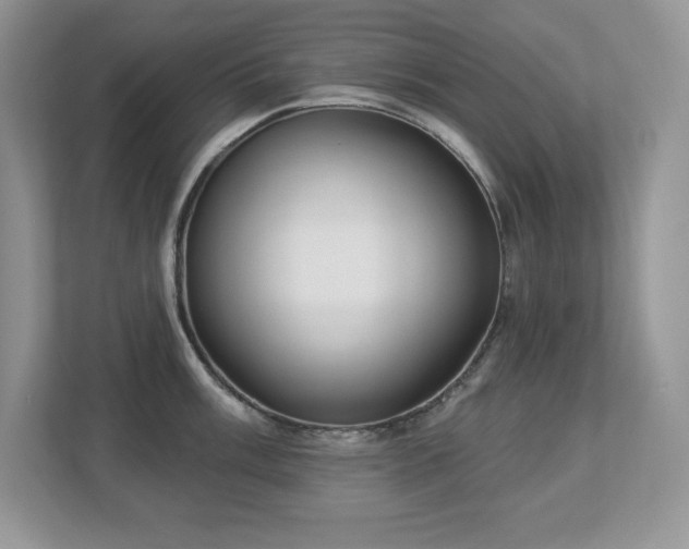 X0000112861003200908211317