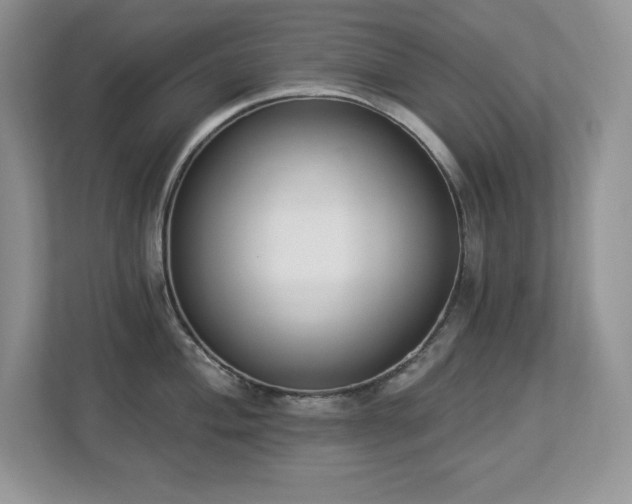 X0000112861004200908211317