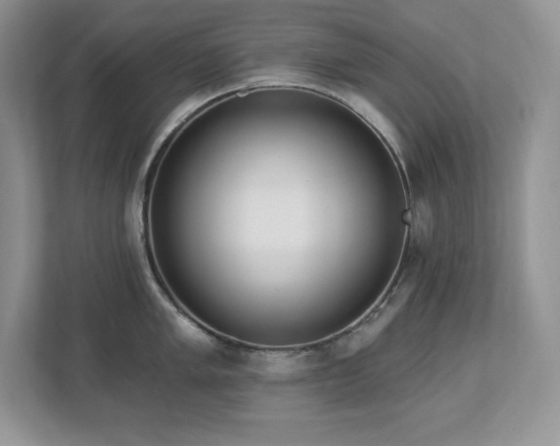 X0000112861005200908211317