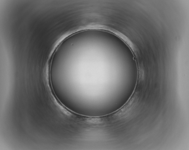 X0000112861006200908211317