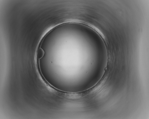 X0000112861007200908211317