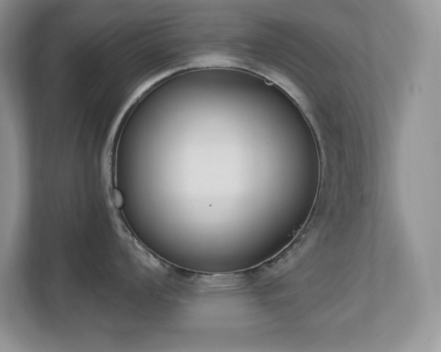X0000112861008200908211317