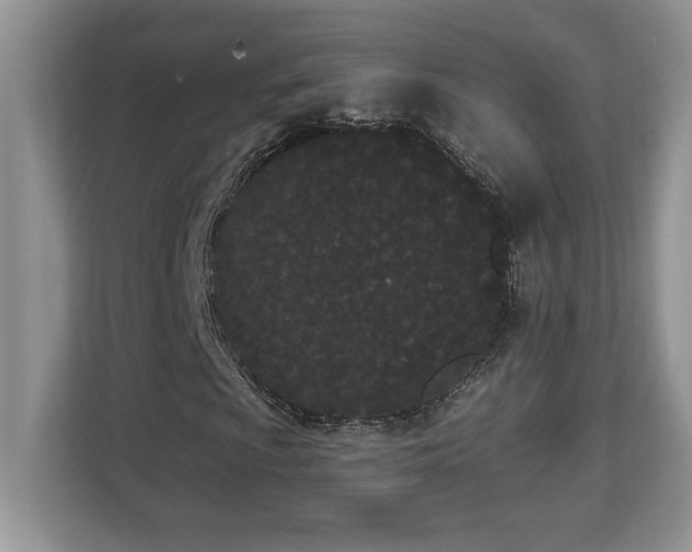 X0000112861009200908211316