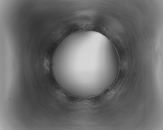X0000112861010200908211316