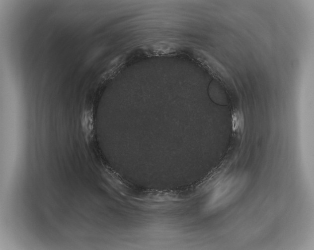 X0000112861011200908211316