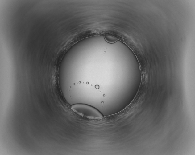 X0000112861012200908211316