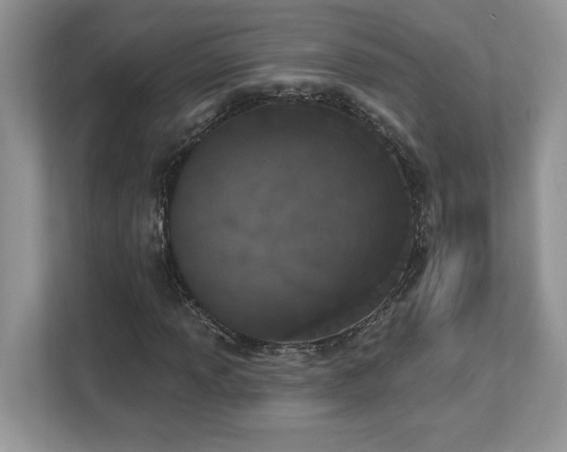 X0000112861013200908211316
