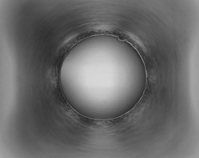 X0000112861015200908211316