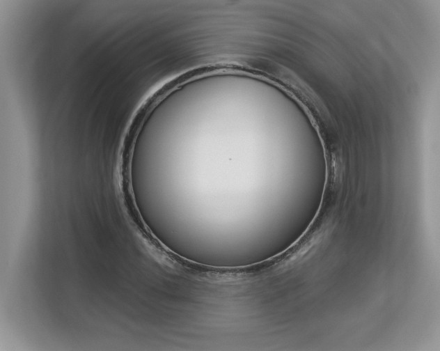 X0000112861020200908211316