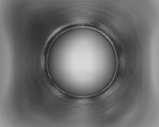 X0000112861021200908211316
