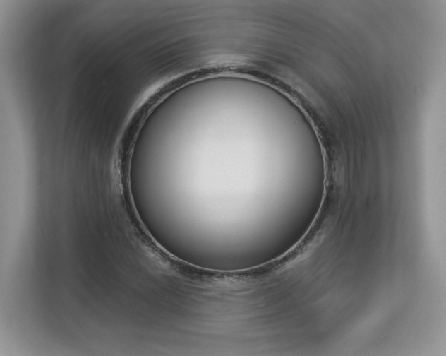 X0000112861022200908211316