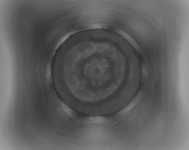 X0000112861023200908211316