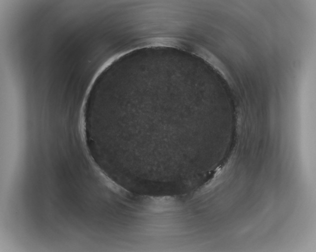 X0000112861024200908211316