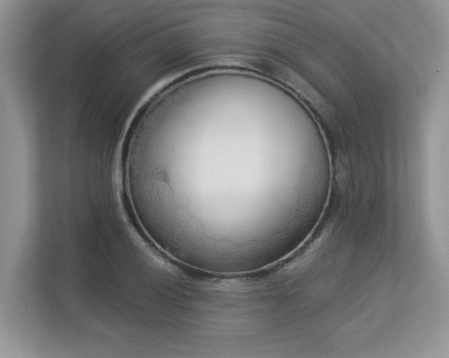 X0000112861028200908211317