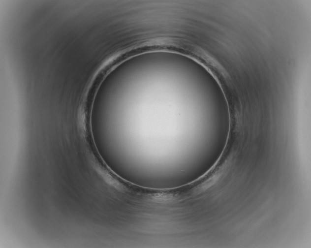 X0000112861029200908211317