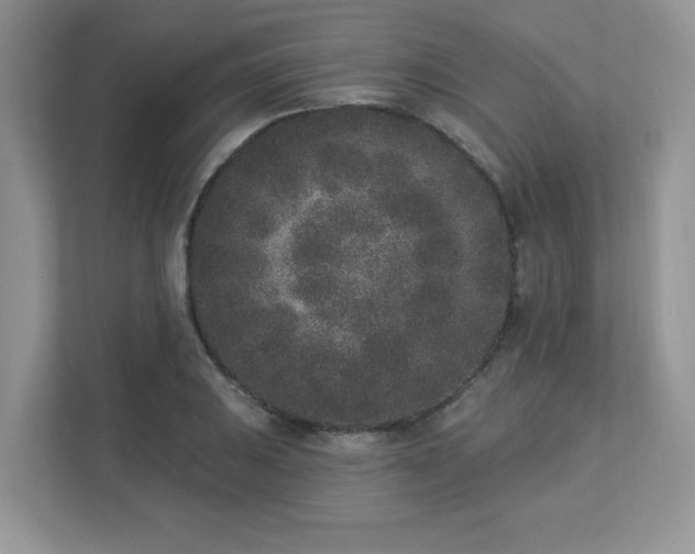 X0000112861031200908211317