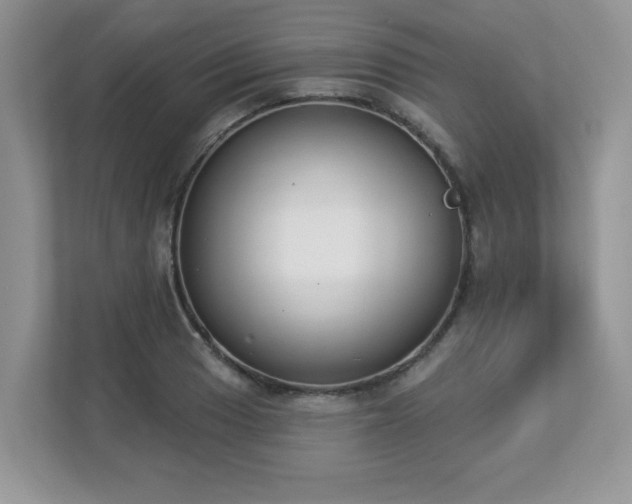 X0000112861033200908211317