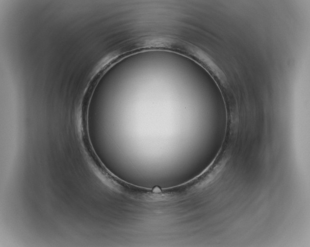 X0000112861034200908211317