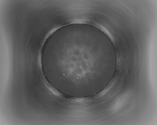 X0000112861035200908211317