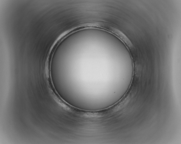 X0000112861036200908211317