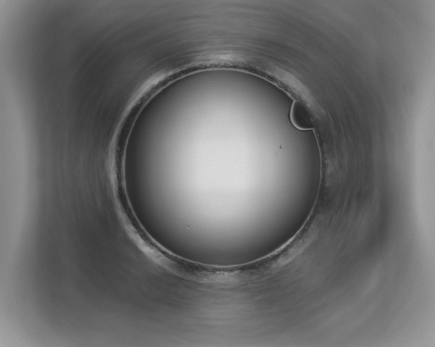 X0000112861038200908211317