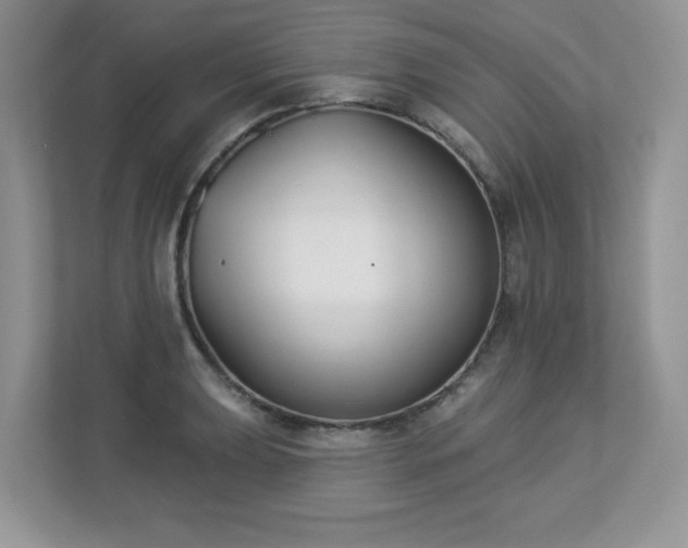 X0000112861039200908211317