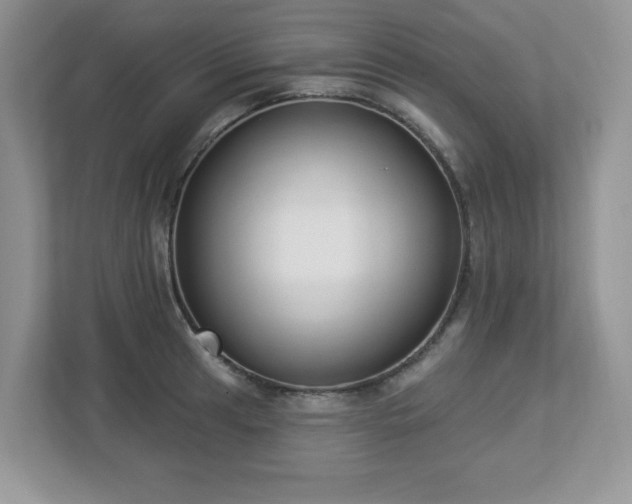 X0000112861041200908211317