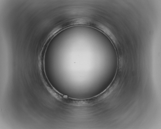 X0000112861042200908211317